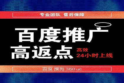 成功案例揭秘：百度竞价账户托管的运营之道